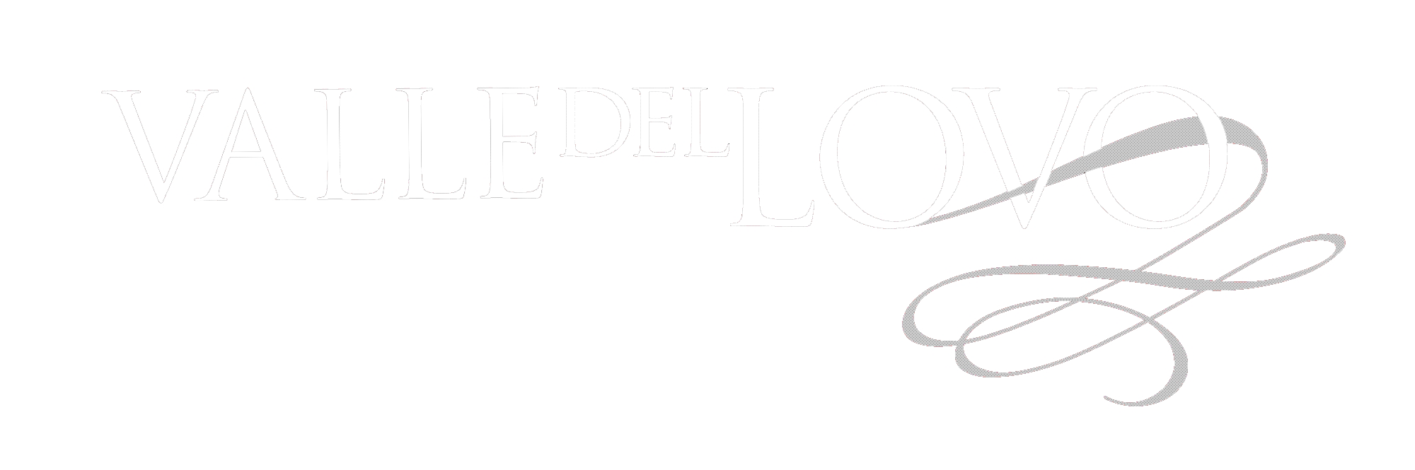 valleLogoNBCG_white