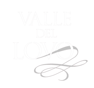 valleLogo_home_1 valleLogo_home_1